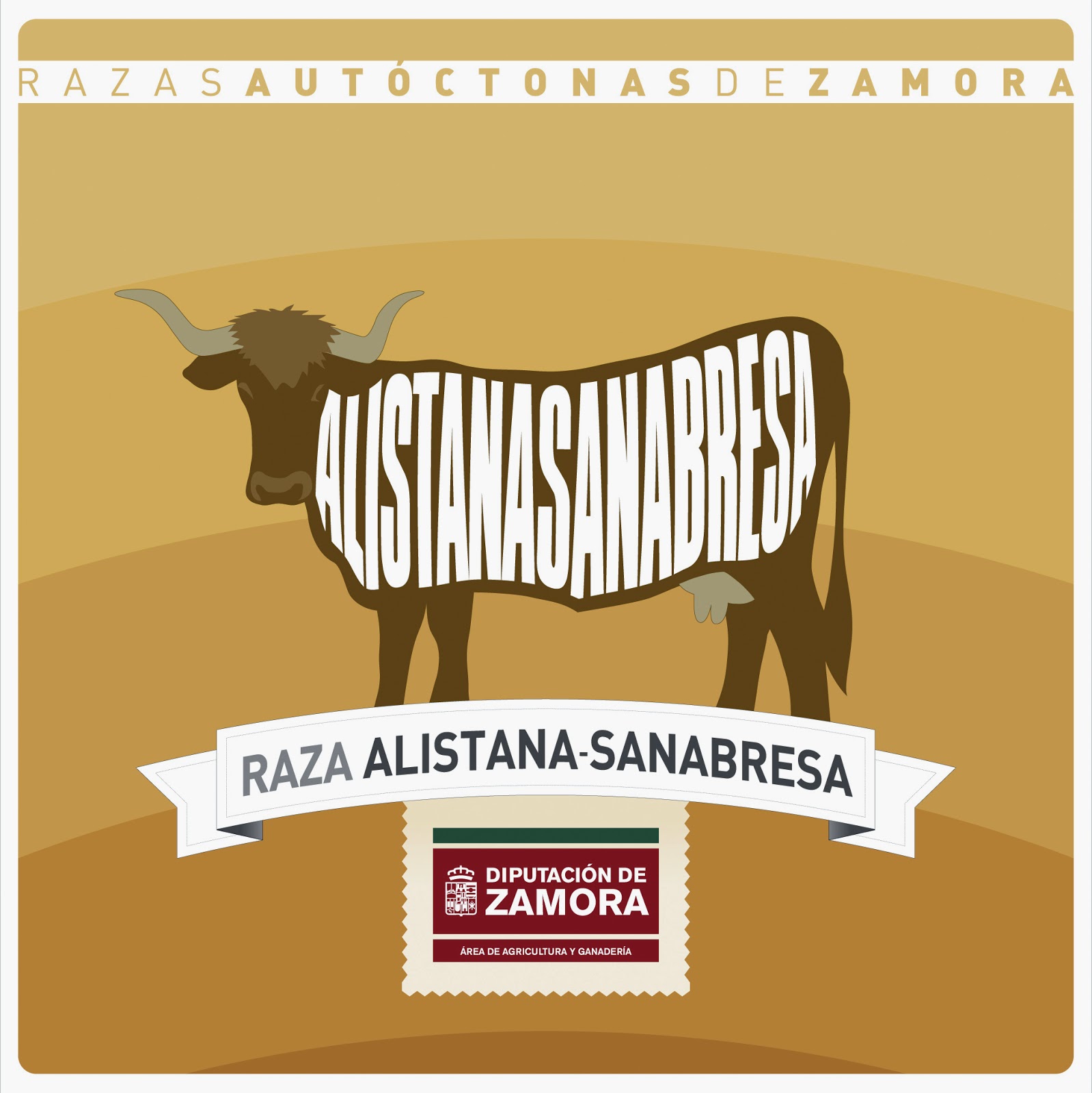 La asociación 2