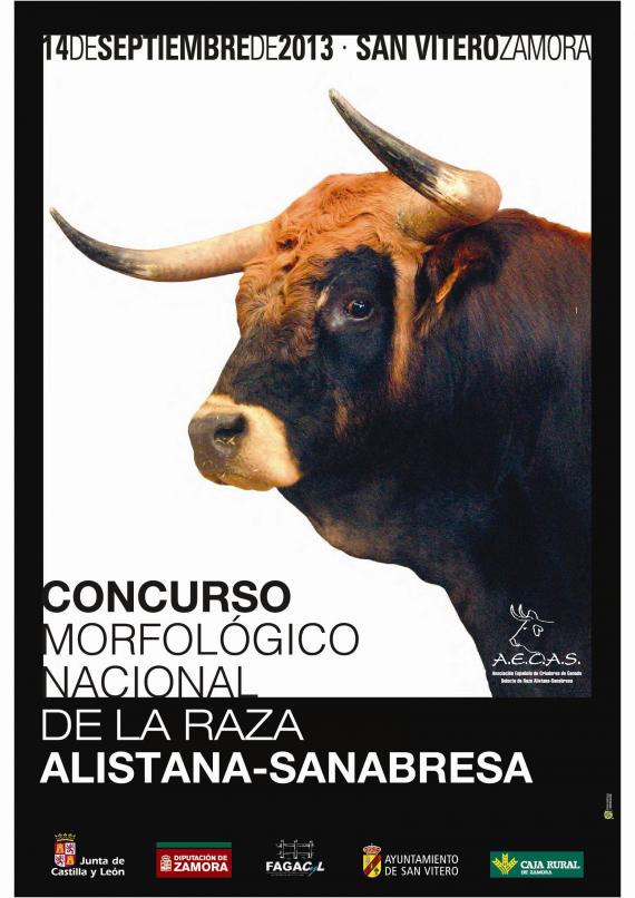 La asociación 3