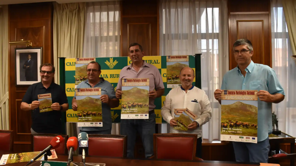 Las vacas alistanas-sanabresas: un recurso muy útil para la limpieza de los montes zamoranos